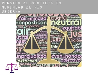 Pensión alimenticia en  Merindad de Río Ubierna