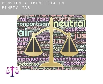 Pensión alimenticia en  Pineda de Mar