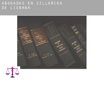 Abogados en  Cillorigo de Liébana