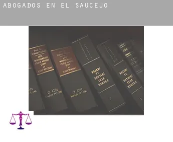 Abogados en  El Saucejo