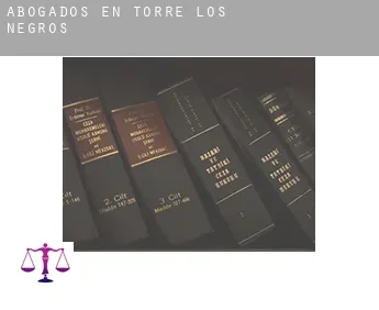 Abogados en  Torre los Negros