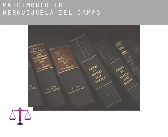 Matrimonio en  Herguijuela del Campo