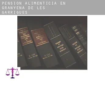 Pensión alimenticia en  Granyena de les Garrigues