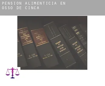 Pensión alimenticia en  Osso de Cinca