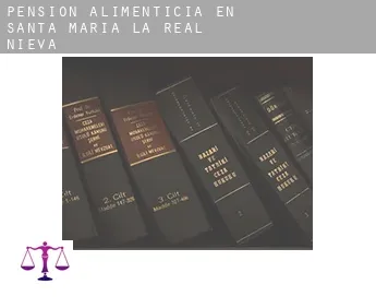 Pensión alimenticia en  Santa María la Real de Nieva