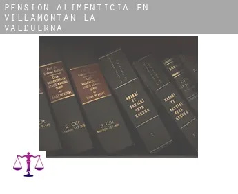 Pensión alimenticia en  Villamontán de la Valduerna