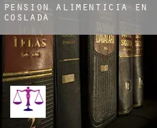 Pensión alimenticia en Coslada