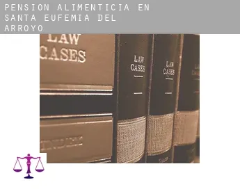 Pensión alimenticia en  Santa Eufemia del Arroyo