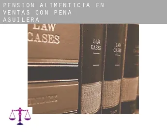 Pensión alimenticia en  Ventas con Peña Aguilera