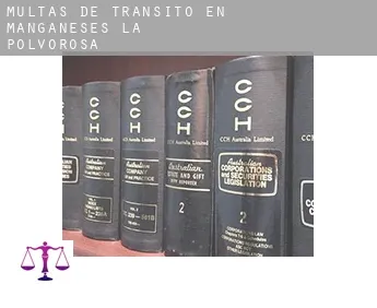 Multas de tránsito en  Manganeses de la Polvorosa