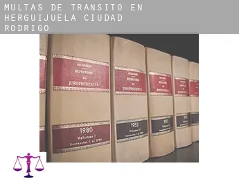 Multas de tránsito en  Herguijuela de Ciudad Rodrigo