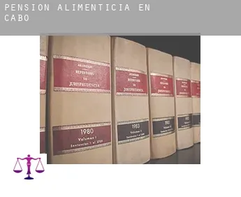 Pensión alimenticia en  Cabó