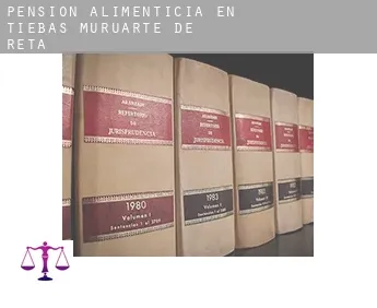Pensión alimenticia en  Tiebas-Muruarte de Reta