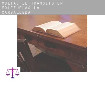 Multas de tránsito en  Molezuelas de la Carballeda