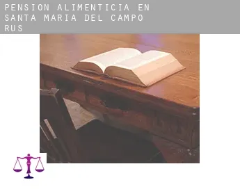 Pensión alimenticia en  Santa María del Campo Rus