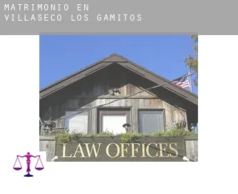 Matrimonio en  Villaseco de los Gamitos