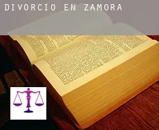Divorcio en  Zamora
