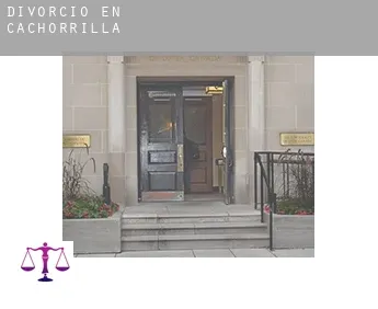 Divorcio en  Cachorrilla