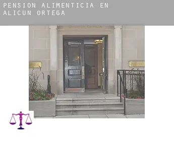 Pensión alimenticia en  Alicún de Ortega