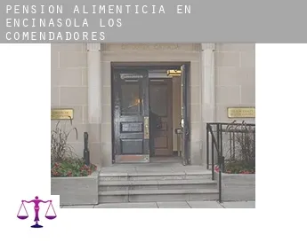 Pensión alimenticia en  Encinasola de los Comendadores