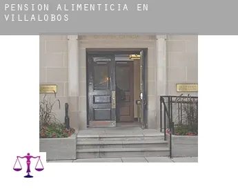 Pensión alimenticia en Villalobos