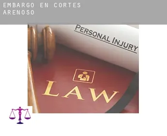 Embargo en  Cortes de Arenoso