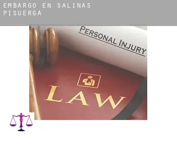 Embargo en  Salinas de Pisuerga