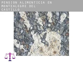 Pensión alimenticia en  Montealegre del Castillo