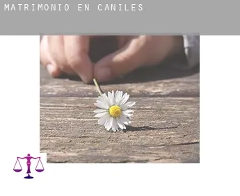 Matrimonio en  Caniles