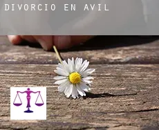 Divorcio en  Ávila