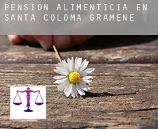 Pensión alimenticia en Santa Coloma de Gramenet