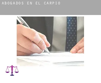 Abogados en  El Carpio