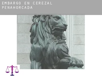 Embargo en  Cerezal de Peñahorcada