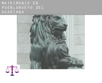 Matrimonio en  Pueblonuevo del Guadiana