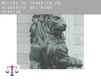 Multas de tránsito en  Alquerías del Niño Perdido