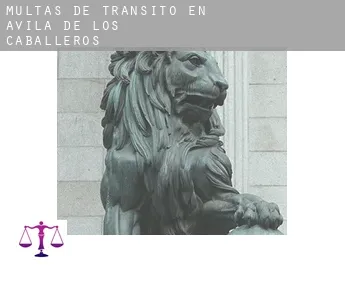 Multas de tránsito en  Ávila de los Caballeros