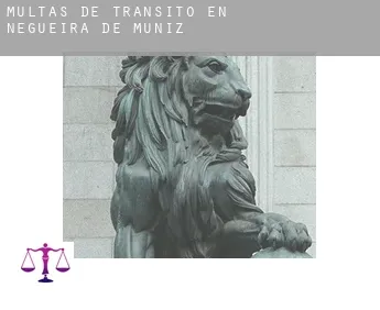 Multas de tránsito en  Negueira de Muñiz