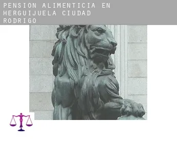 Pensión alimenticia en  Herguijuela de Ciudad Rodrigo