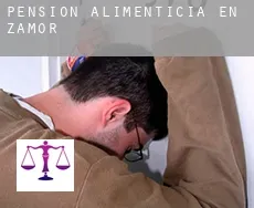 Pensión alimenticia en Zamora