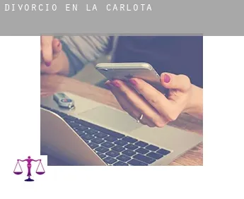 Divorcio en  La Carlota