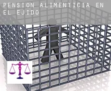 Pensión alimenticia en  El Ejido