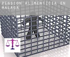 Pensión alimenticia en Málaga