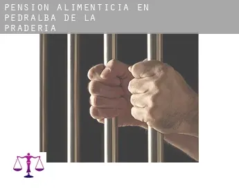 Pensión alimenticia en  Pedralba de la Pradería