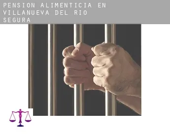 Pensión alimenticia en  Villanueva del Río Segura