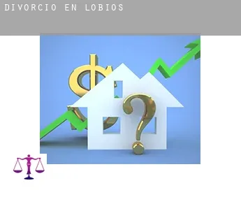 Divorcio en  Lobios