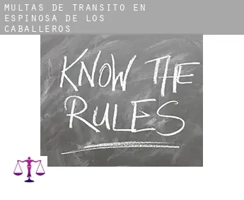 Multas de tránsito en  Espinosa de los Caballeros