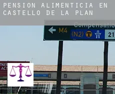 Pensión alimenticia en Castelló de la Plana