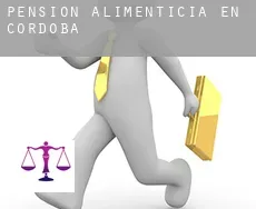 Pensión alimenticia en Córdoba