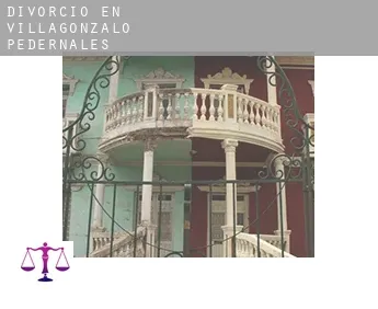 Divorcio en  Villagonzalo-Pedernales