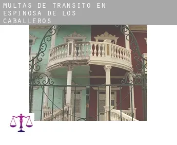 Multas de tránsito en  Espinosa de los Caballeros
